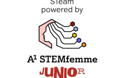 Treću godinu zaredom naša škola sudjeluje u projektu STeam Femme Junior!